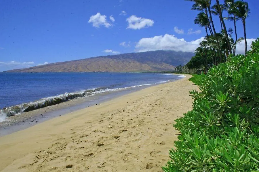 Apartment Kihei Beach, #406^ Condo